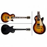 Guitarra Eléctrica GIBSON LES PAUL PLUS...