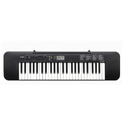 Teclado Casio Portatil (CTK-245)