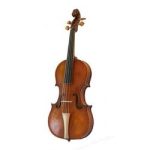 Viola Skylark con Arco Barbada y Estuche...