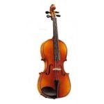 Violin Estudiante Pearl River Natural...