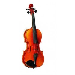 Violin Strunal Stradivarius 4/4 con Arco y...