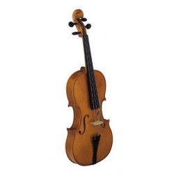 Violin Strunal Stradivarius 4/4 con Arco y...