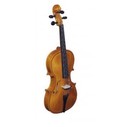 Violin Strunal Stradivarius 4/4 Washed con...